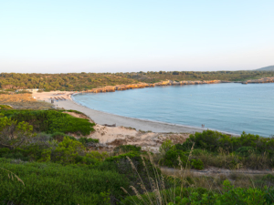 Panorámica de la playa de Son Parc en Menorca, mostrando la arena dorada, el mar en calma y los pinares que rodean la urbanización.